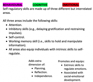 What Are Self Regulation Skills Actvoices Facilitating Teachers Learning